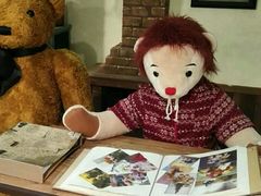 -济州岛泰迪熊博物馆