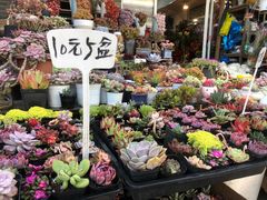 -平吉花卉市场