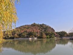 -金典银峰老鹅馆·昆山菜(亭林公园店)