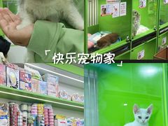 -唐小姐の猫狗洗护·购宠旗舰店(周浦万达店)