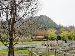-贵阳市花溪国家城市湿地公园