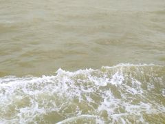 -澳门环岛游湾仔码头