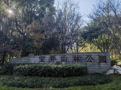 -宝界山林公园
