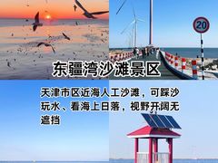 -必点海鲜·海肠捞饭(滨江道一店)