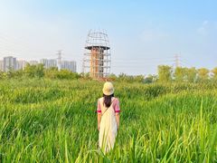 -永定河休闲森林公园