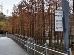 -福道