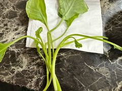 -雷山鱼酱酸汤鱼·酸汤牛肉(花果园T1区店)