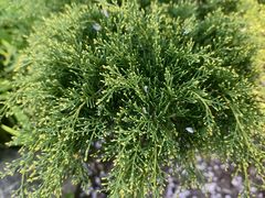 -杭州城北体育公园