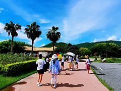 -亚龙湾国际玫瑰谷