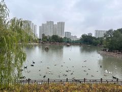 -青藏高原野生动物园