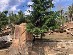 -哈尔滨北方森林动物园