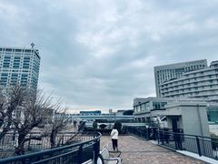 -台场海滨公园船码头