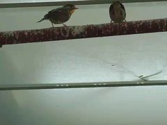 -上海大自然野生昆虫馆(东方明珠·爬宠昆虫探索中心)