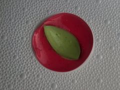 -Chikalicious(新天地店)