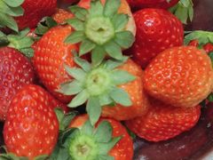 -宋记冕宁土菜馆(海门渔村二店)