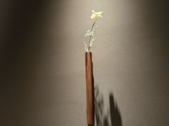 -安屿an·spa(卓悦中心商场店)