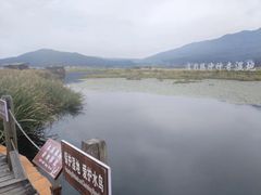 -腾冲北海湿地