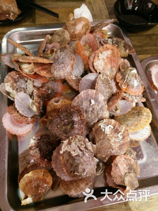 吉祥胶东小海鲜-原味蒸小红贝图片-北京美食-大众点评网