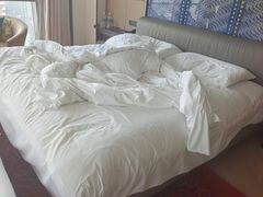 -北京索菲特大酒店