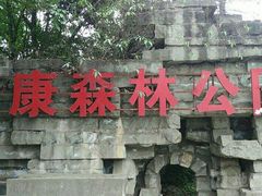 -永康森林公园