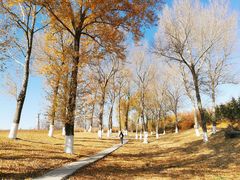 -长春世界雕塑园冰雪艺术天地