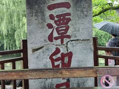 -江南春(中山中路店)