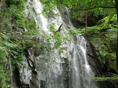 -藏龙百瀑风景区