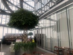 -花园5號餐厅