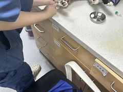 -联合动物医院(光谷诊疗中心)