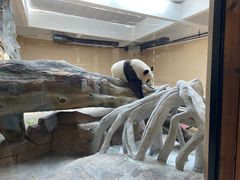 -宁波野生动物园
