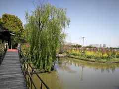 -南汇桃花村
