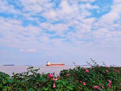 -上海滨江森林公园