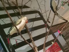 -可口香·非遗老号烧烤(南岗直营店)