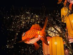 -龙湖星悦荟(颐和店)