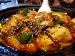 -陈麻婆豆腐总店
