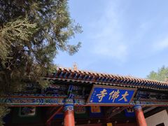 -张掖大佛寺景区