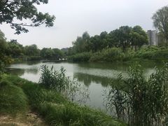 -新江湾城公园