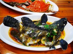 葱油石斑鱼-渔中舟海鲜大排档(普陀沈家门店)