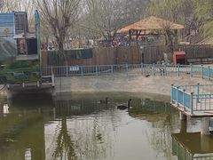 -北京鹿世界主题园