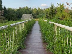 -宝安西湾红树林湿地公园