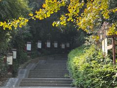 -伯先公园