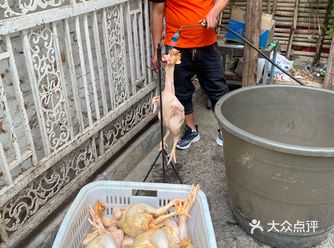最粗暴的厨师烹饪出最新鲜的酸笋鸡