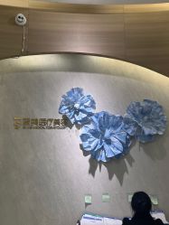 -素美医疗美容·西南眼鼻整形·修复基地