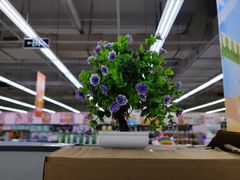 -大润发(梅兰东路店)