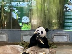 -海南热带野生动植物园