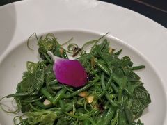-鸽鸽小垸(长椿街店)