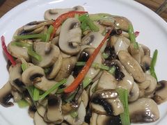 口菇小芹菜-3号仓库(幸福北路店)