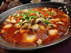 -成都娃娃花园餐厅 (南艺旗舰店)