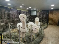 -上海大自然野生昆虫馆(东方明珠·爬宠昆虫探索中心)