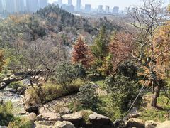 -上海海湾国家森林公园